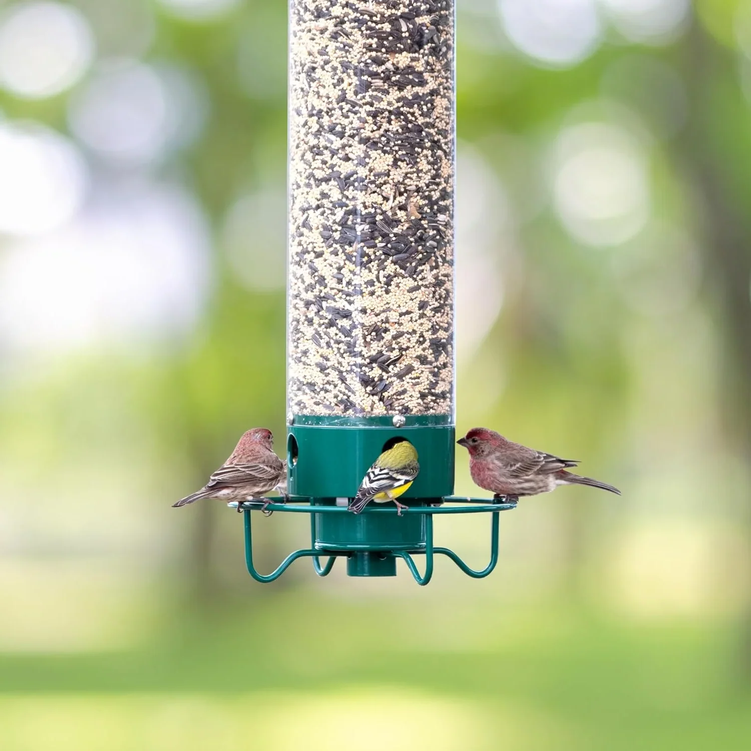 Squirrel Proof Bird Feeder - Image 6