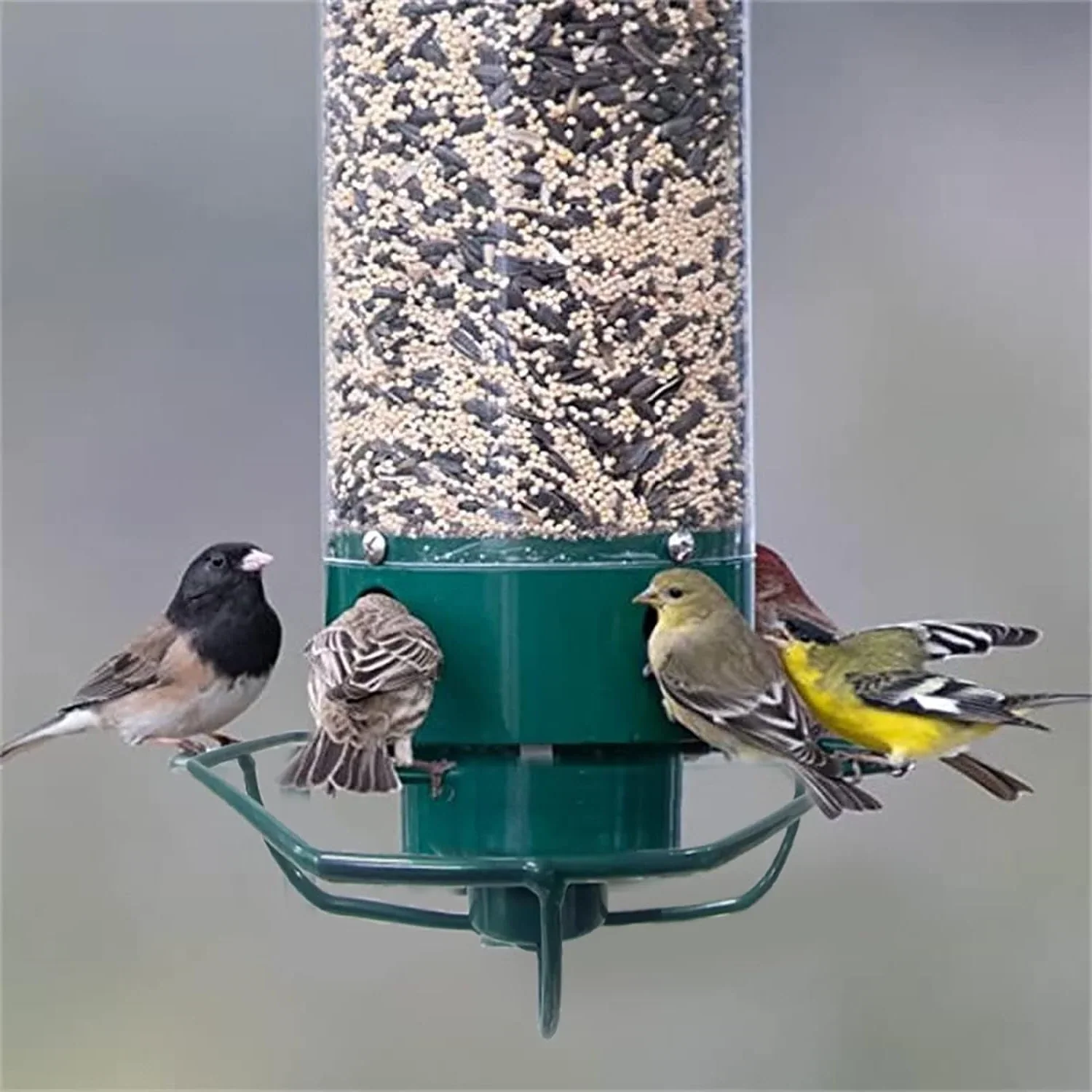 Squirrel Proof Bird Feeder - Image 7