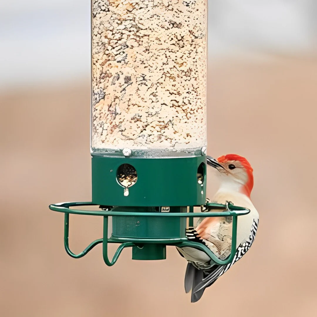 Squirrel-Proof Bird Feeder - Image 3
