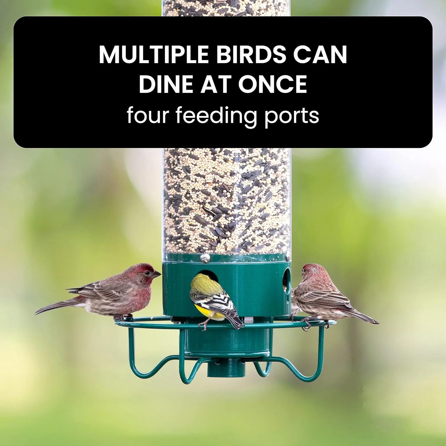 Squirrel-Proof Bird Feeder - Image 5