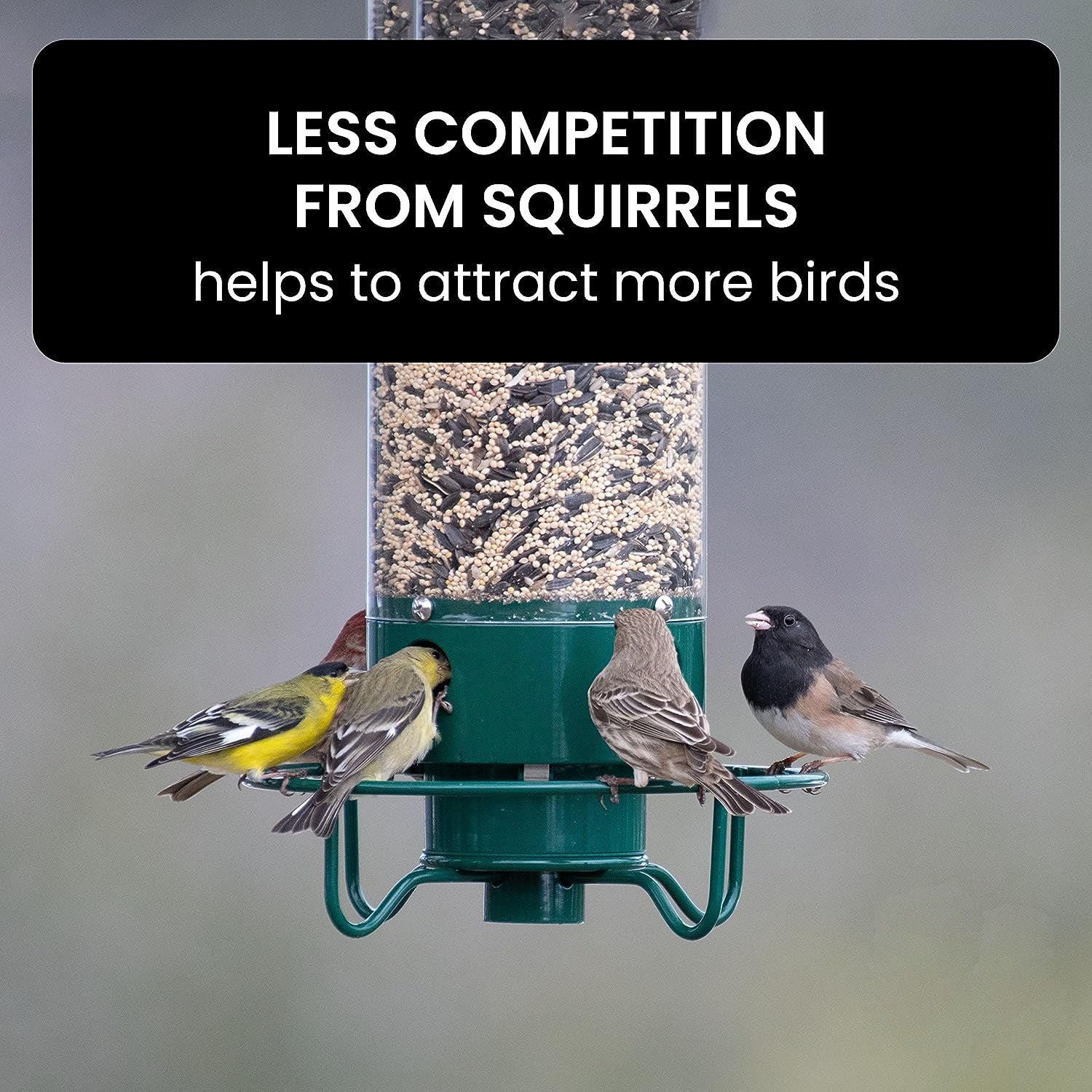 Squirrel-Proof Bird Feeder - Image 7