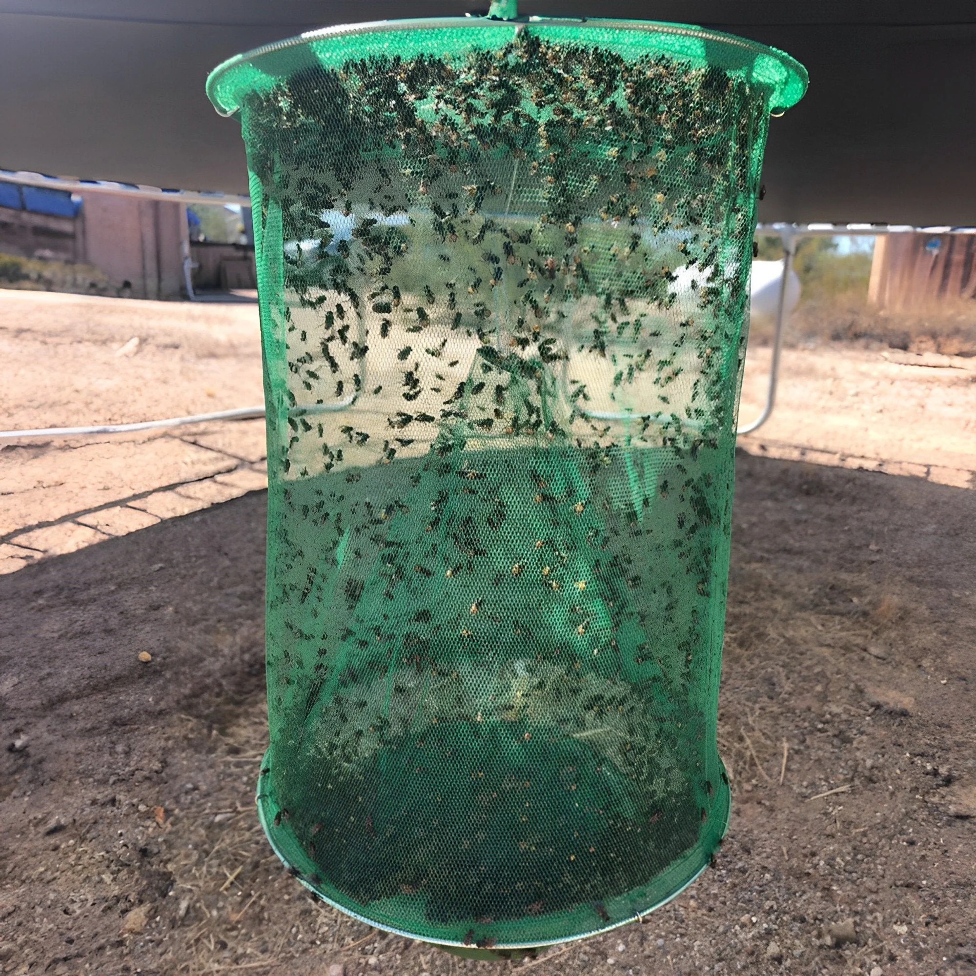 Stable Fly Trap - Image 2