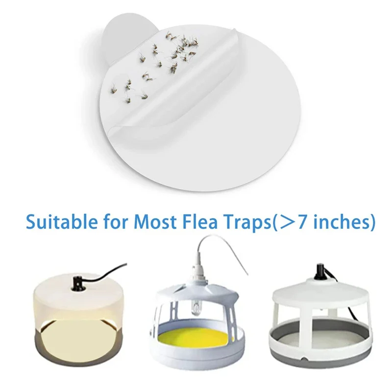 Sticky Bed Bug Trap Refill Glue Boards - Image 4