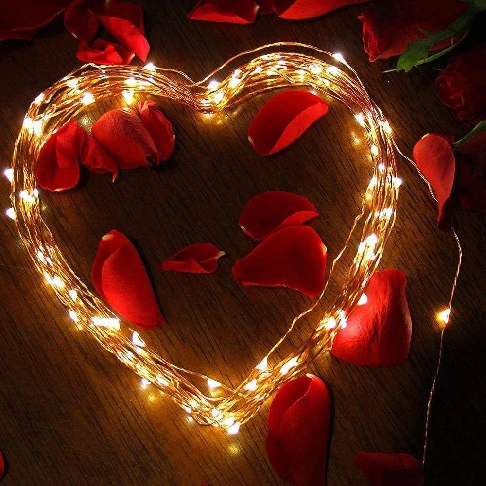 String Solar Lights Outdoor (Clear Cable) - Image 5
