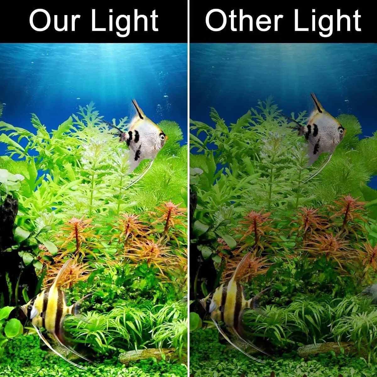 Super Slim Led Fish Tank Aquarium Light Aquatic Plant - Image 5