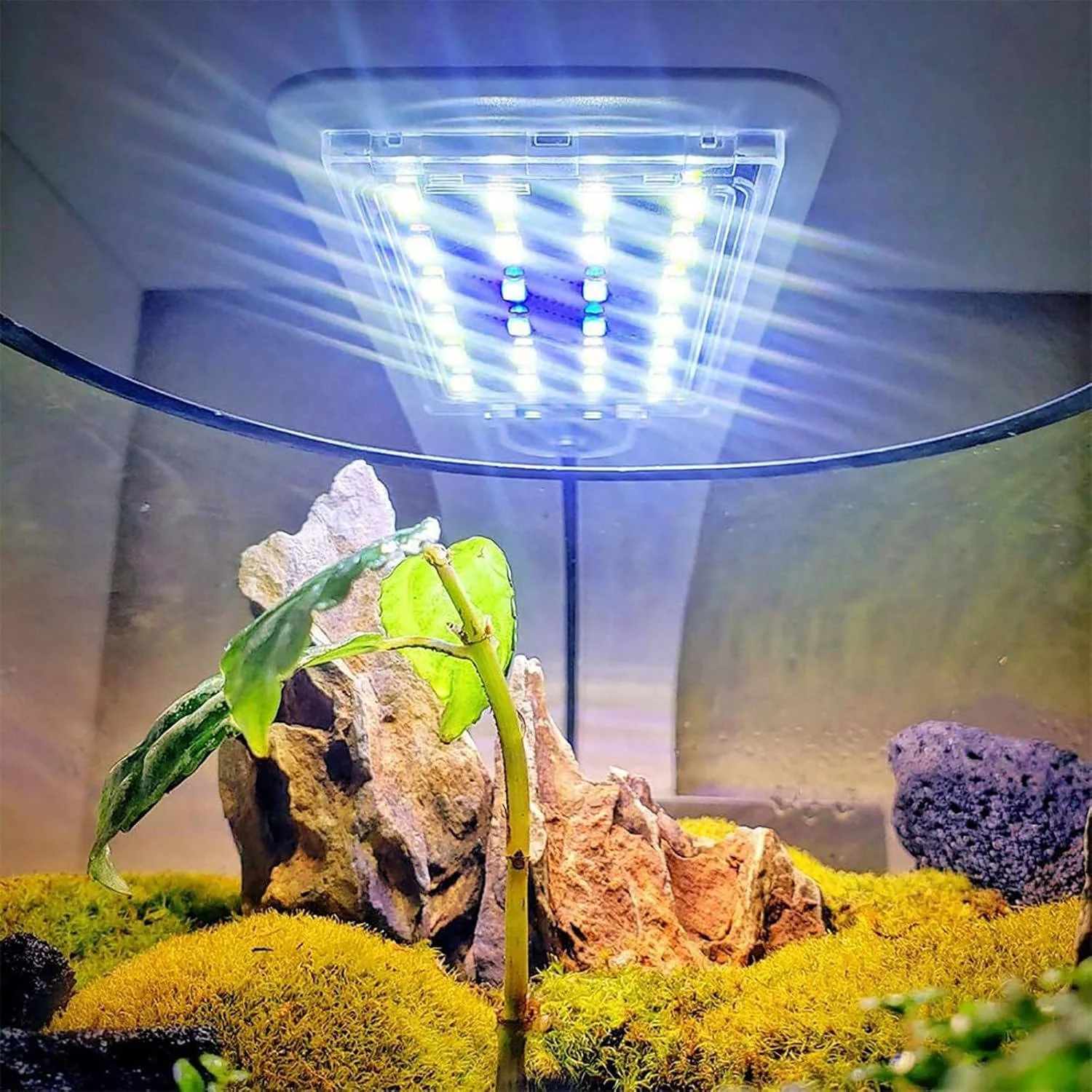 Super Slim Led Fish Tank Aquarium Light Aquatic Plant - Image 8