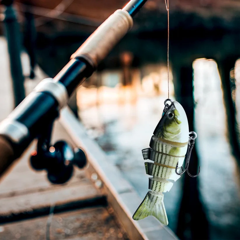 Swimming Lure - Image 2