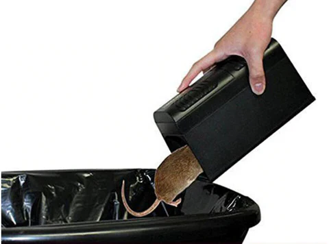 Electric Mouse Trap - Image 5