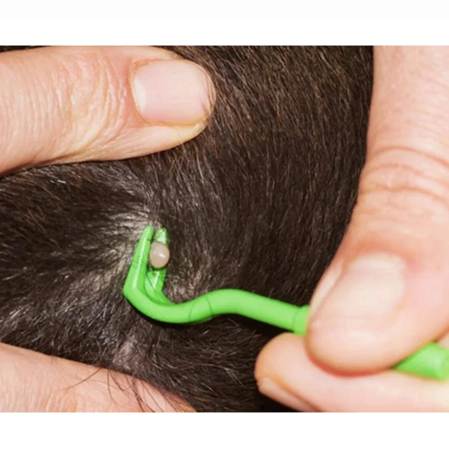 Tick Removal Device for Dogs and Pets - Image 3