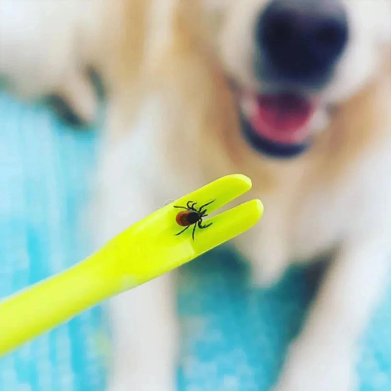 Tick Removal Device for Dogs and Pets - Image 5