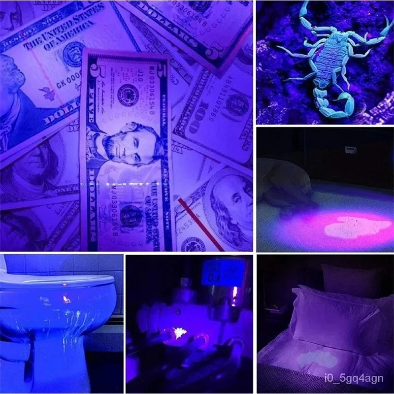 UV Flashlight for Bed Bug Detection and Stain Finder - Image 3