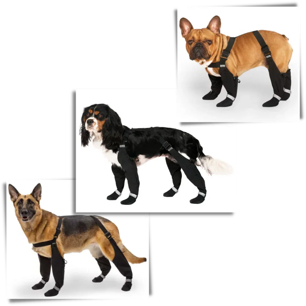Waterproof Dog Suspenders Boots - Image 2