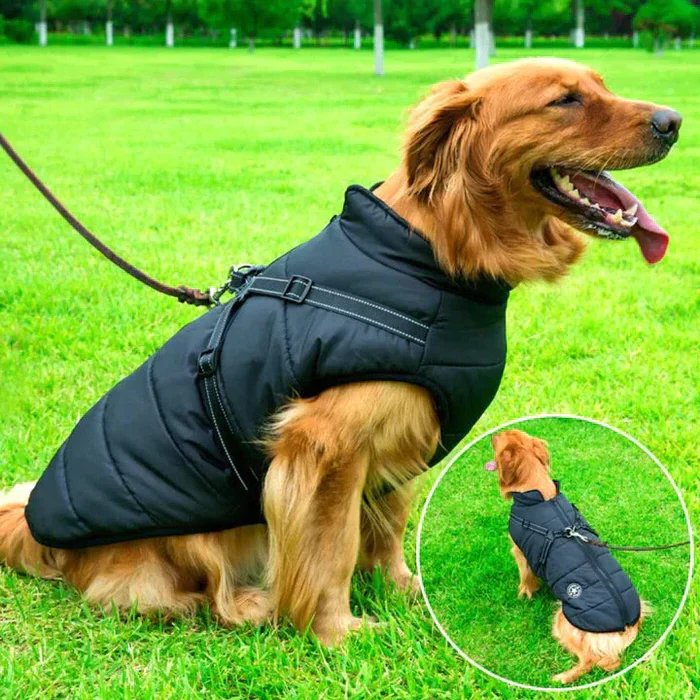 Waterproof Winter Dog Jacket - Sherpa-Fleece Lined - Built-in Harness - Image 4
