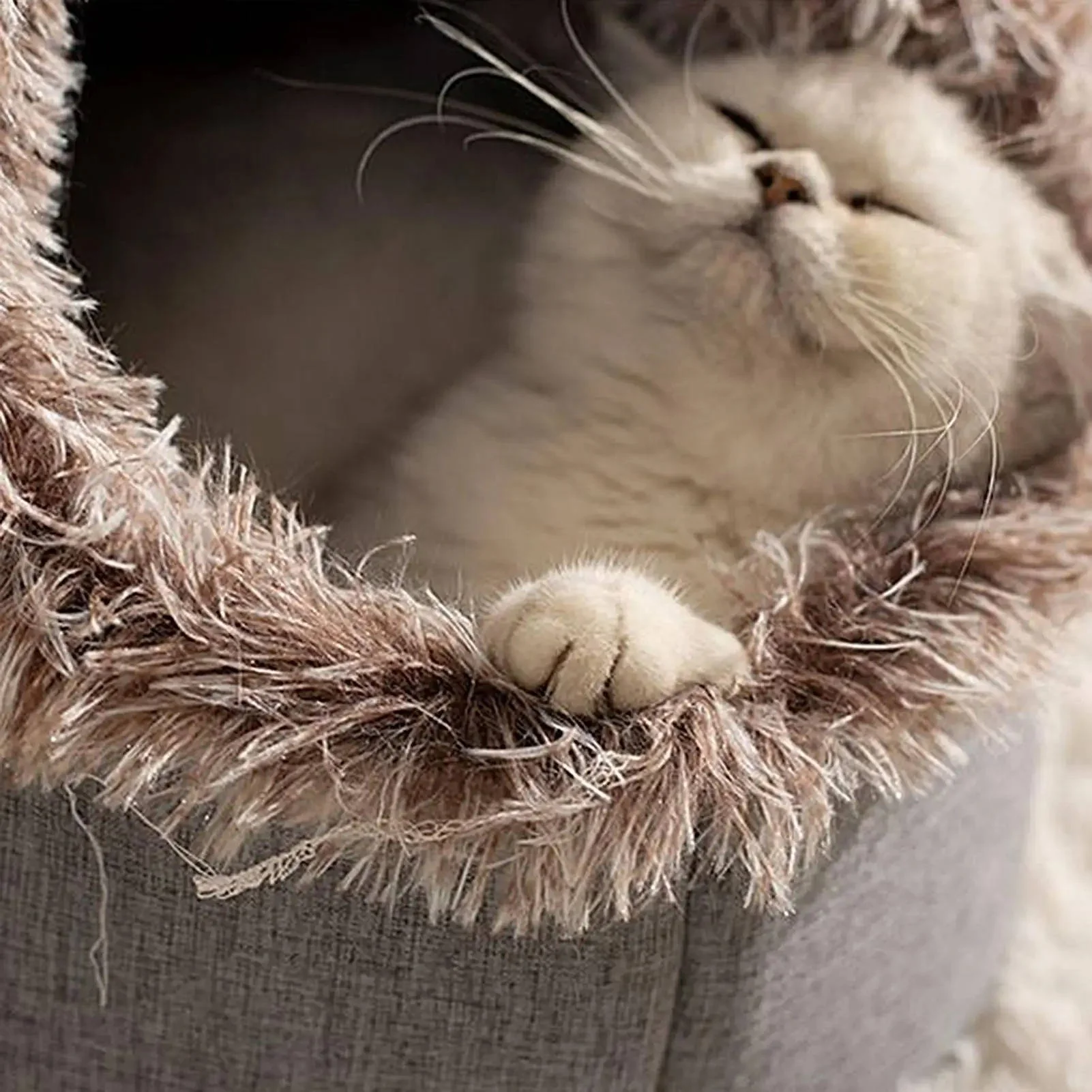 Winter Cat Bed - Image 2