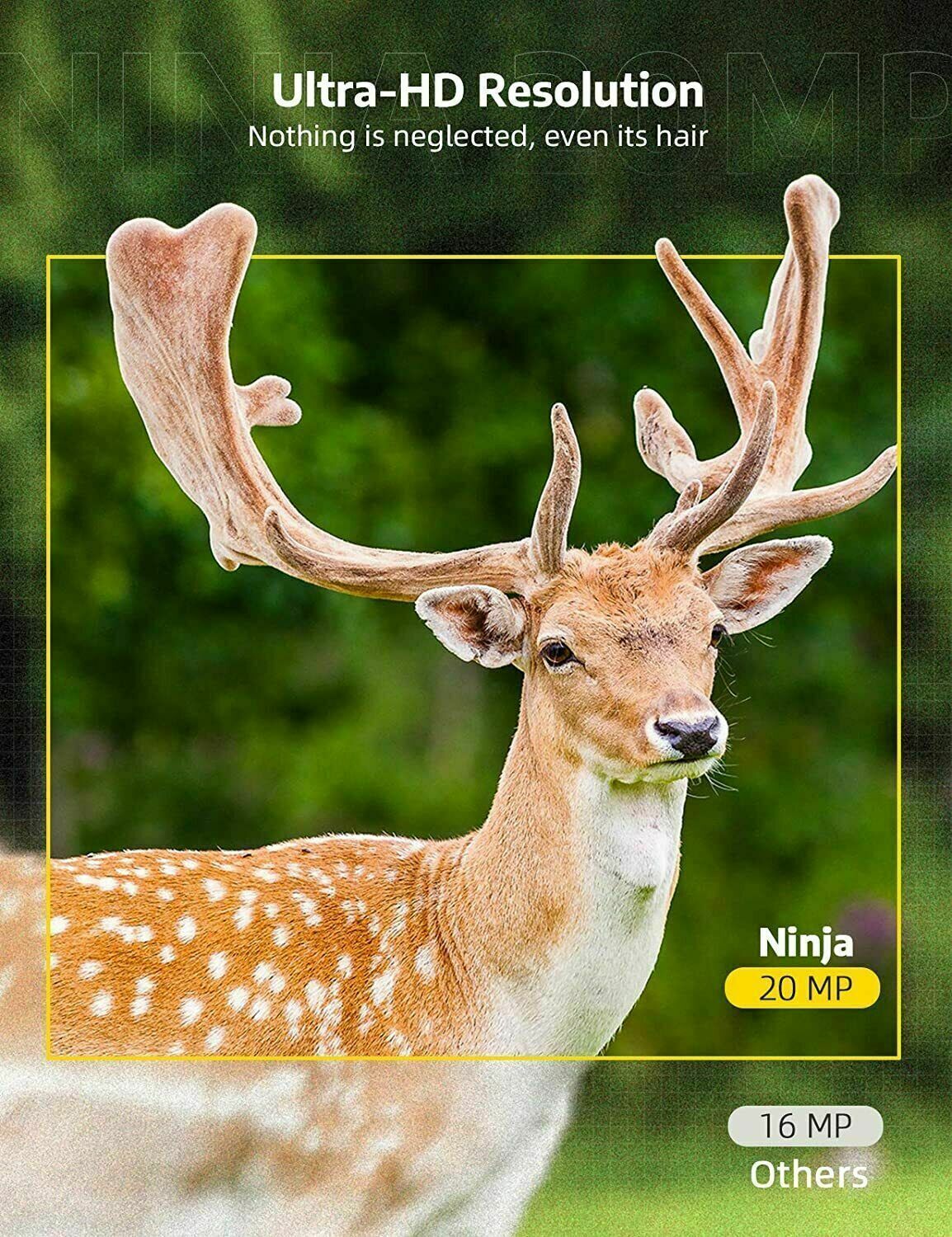 Wireless Hd Wildlife Game Trail Camera With Night Vision - Image 5