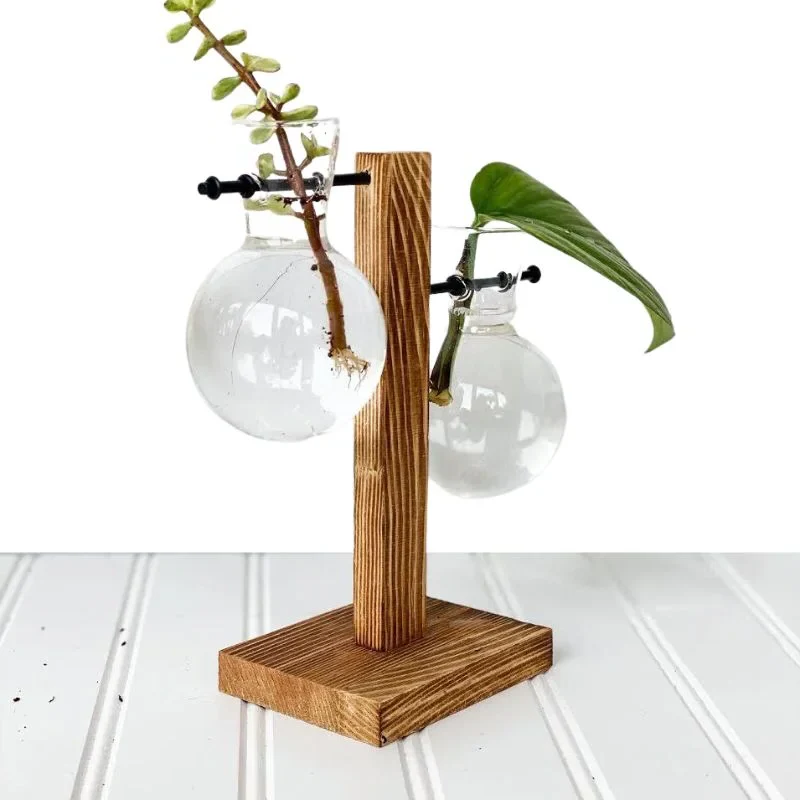 Wooden Frame Hydroponic Plant Vase - Image 4